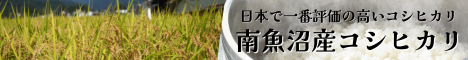 JAみなみ魚沼_南魚沼コシヒカリ