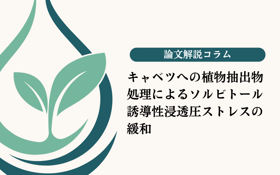 キャベツへの植物抽出物処理によるソルビトール誘導性浸透圧ストレスの緩和