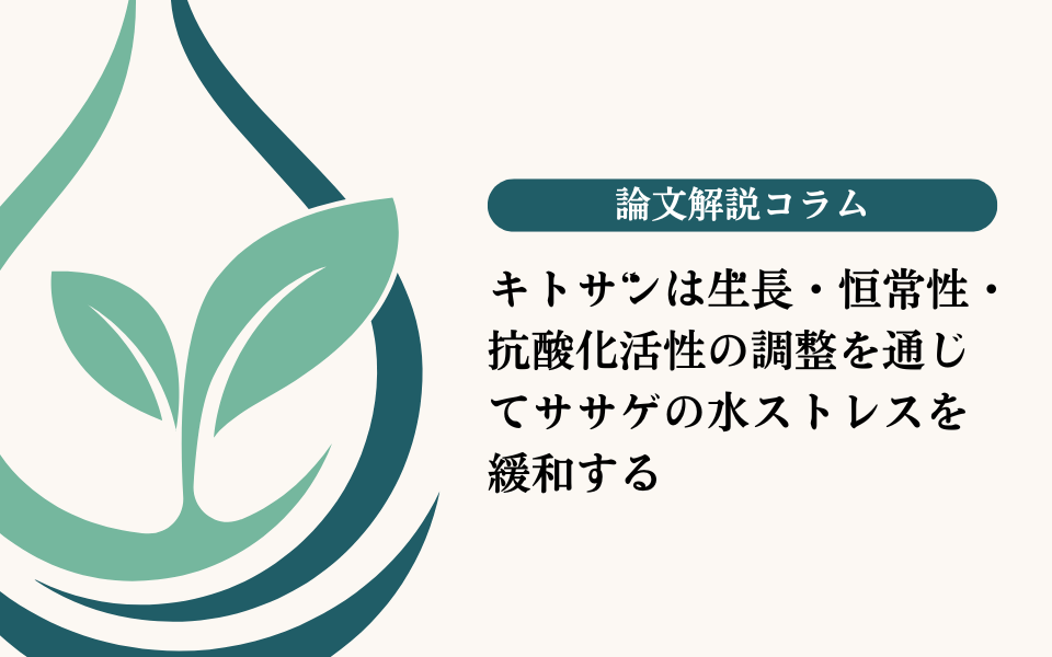 キトサンは生長・恒常性・抗酸化活性の調整を通じてササゲの水ストレスを緩和する