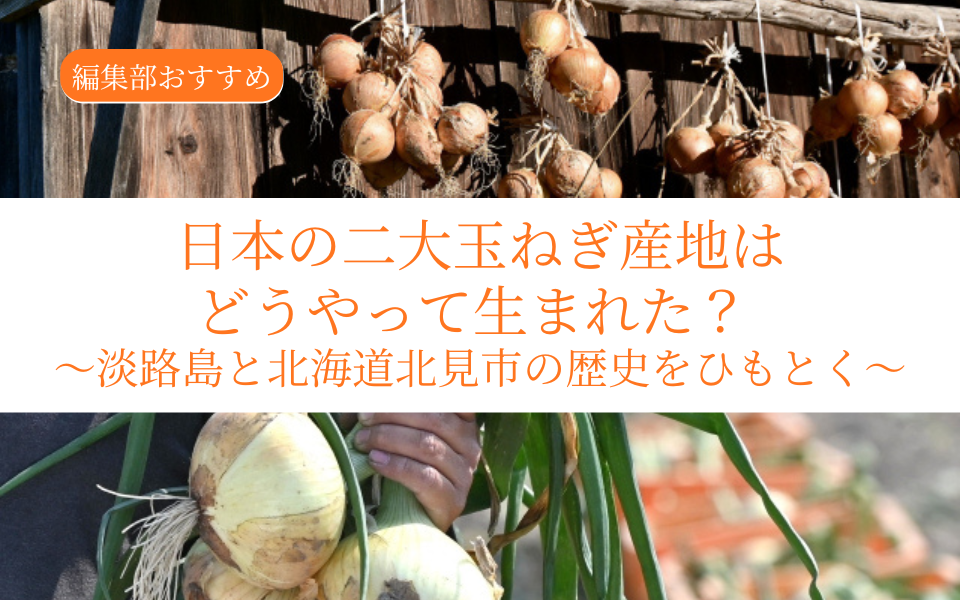 日本の二大玉ねぎ産地はどうやって生まれた？ 〜淡路島と北海道北見市の歴史をひもとく〜