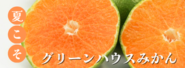グリーンハウスみかん