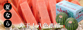 八色西瓜通販