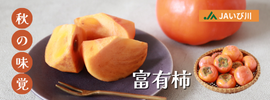 JAいび川_富有柿