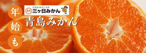 JAみっかび_青島みかん_年始