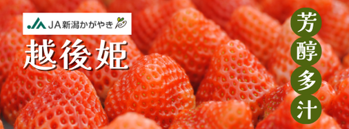 JA新潟かがやき_越後姫