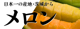 茨城メロン