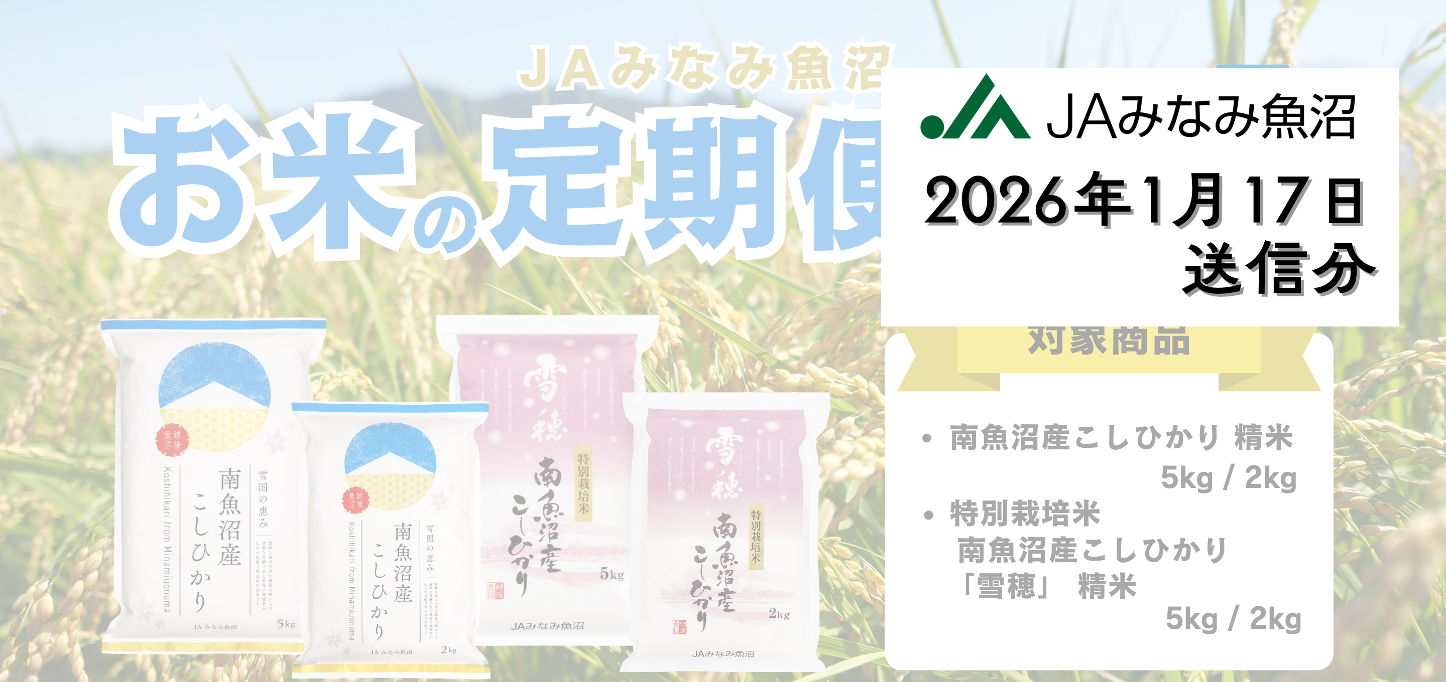 お米の定期便、始めます！【26年1月JAみなみ魚沼公式】
